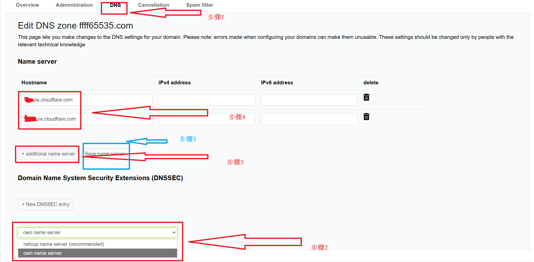 图二：填写自定义 Name Servers